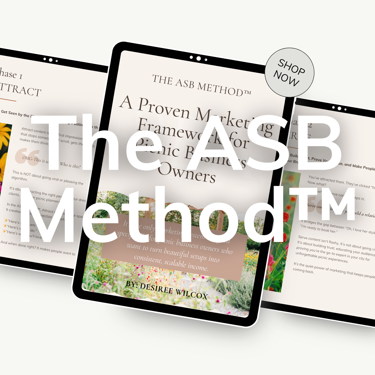 Marketing Strategy for Picnic Planners – The ASB Method™